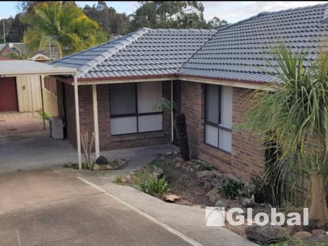 15 Dorrigo Street, NSW 2287