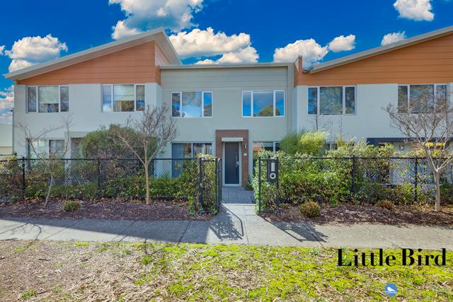 20 Paget Street, ACT 2617