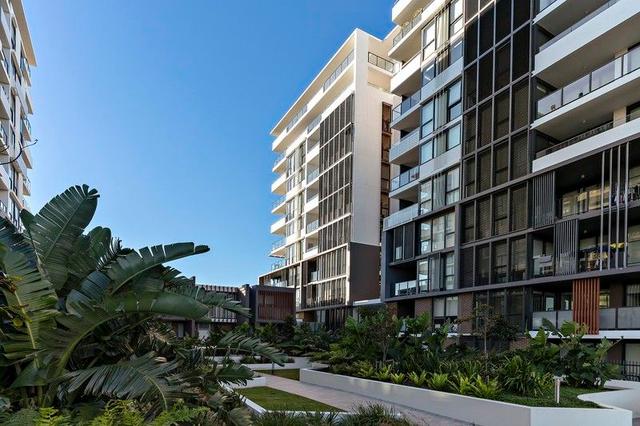 307/3 Garrigarrang Avenue, NSW 2217