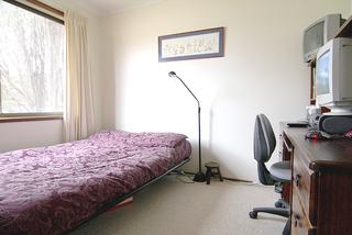 Bed 2 (2008-07-24)