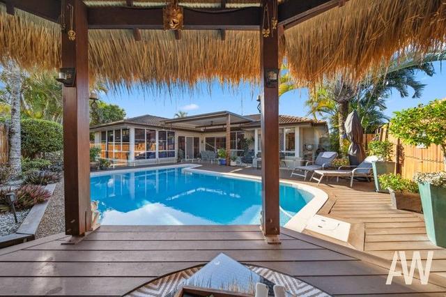 6 Whitewood Court, QLD 4557
