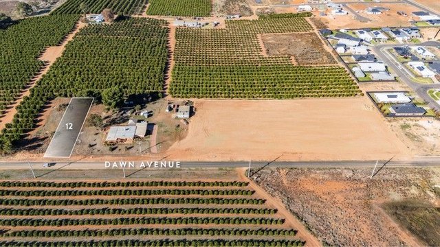 12/86 Dawn Avenue, NSW 2738