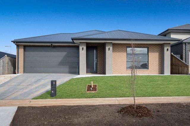 16 Royston Avenue, VIC 3820