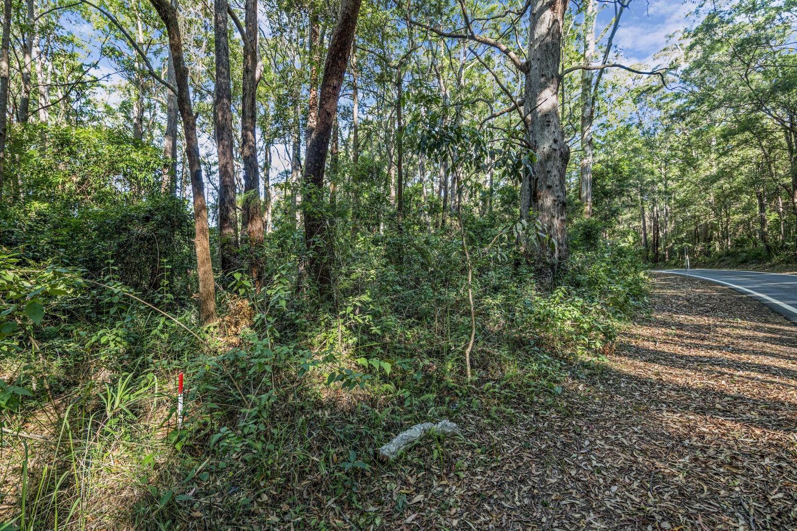 1922 Springbrook Road, Springbrook QLD 4213 | Allhomes