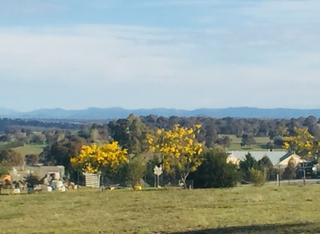 South to Brindabellas (2019-09-25)