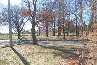 Front Yard to Park (2008-06-30)