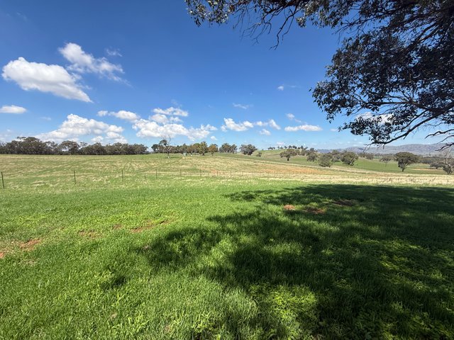 Lot 172 & 173 Reynolds Lane, NSW 2584