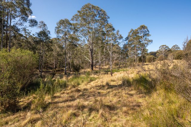 153 Blue Bush Road, NSW 2622