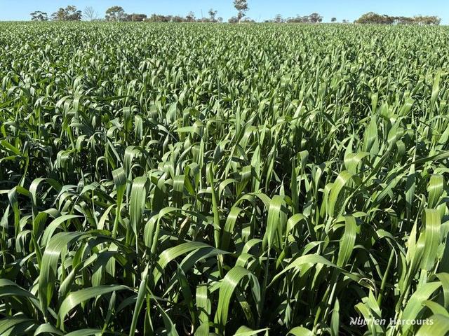 . 'Moyston', WA 6407