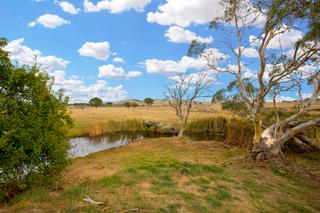 Waterhole