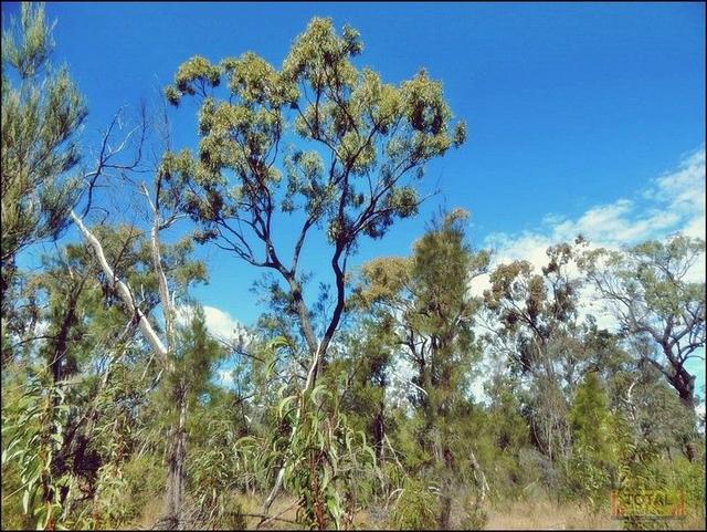 Lot 17 Pine Ridge Road, QLD 4357