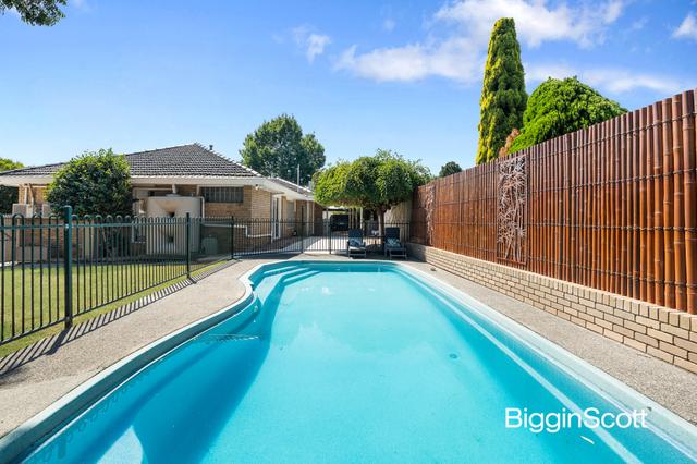 14 Bellevue Court, VIC 3155