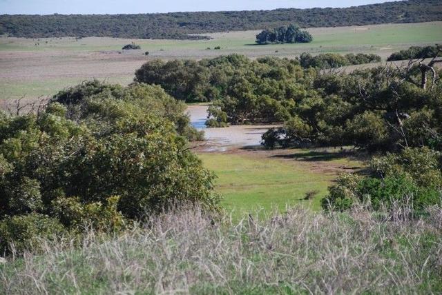 (no street name provided), WA 6532