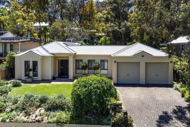 22 Chapman St, SA 5051