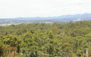 Views (2008-03-25)