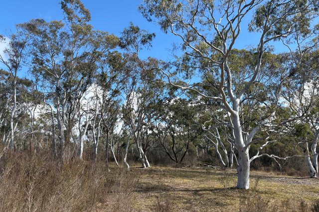80 Farringdon Road, NSW 2622