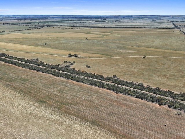 2293 & 2640 Mallee Highway, SA 5301
