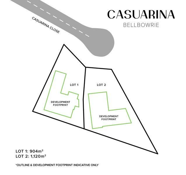 19 Casuarina Close, QLD 4070