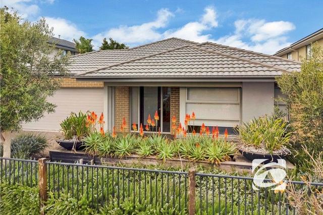 14 Murphy Street, VIC 3978