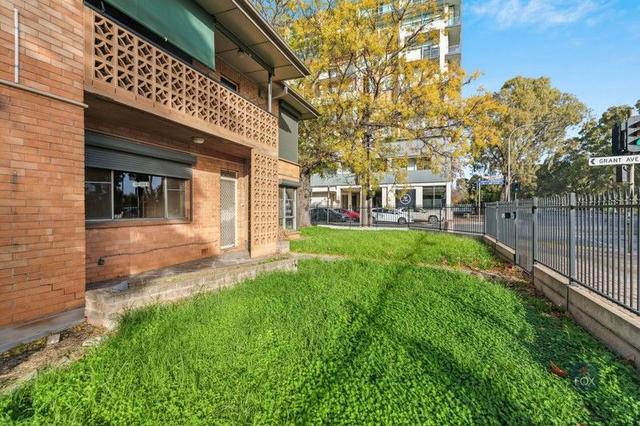 3/157 Fullarton Road, SA 5067