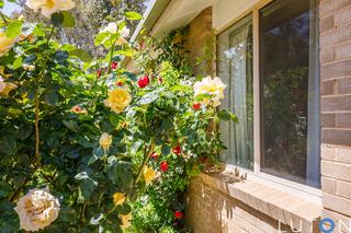 Front garden (2019-11-24)