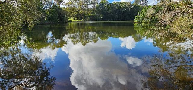 81 Shaws Lane, NSW 2477