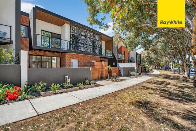 17/1 Rowland Rees Crescent, ACT 2900