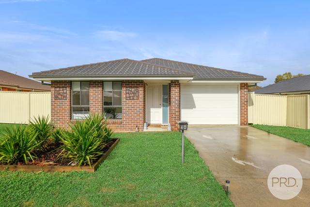 60 Kenny Drive, NSW 2340