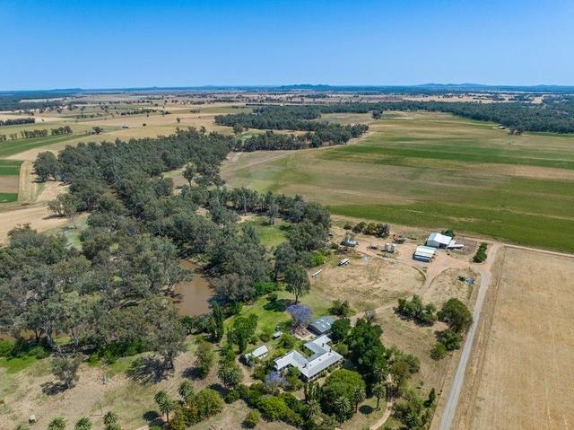 193 McPhillamys Lane, NSW 2871