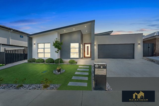 7 Pegg Wilks Street, ACT 2913