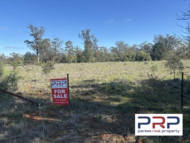 41 The Bogan Way, NSW 2875