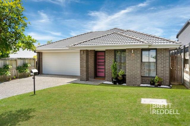 12 Arrowsmith Crescent, QLD 4208