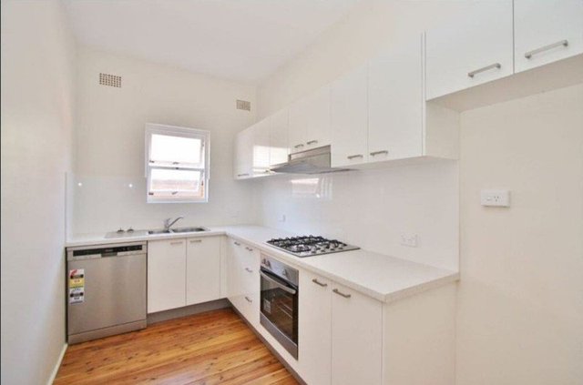 1/24 Chaleyer St, NSW 2029