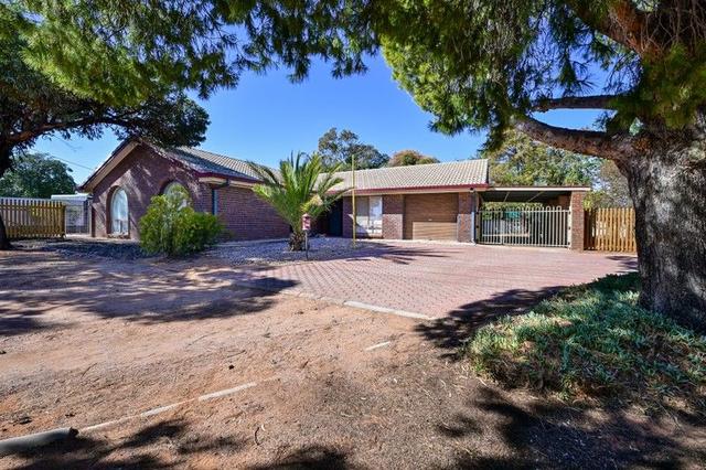 7 Shirley Street, SA 5700