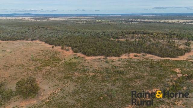 20 Sarsfield Road, NSW 2874