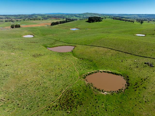 242 Bundaleer Road, NSW 2795