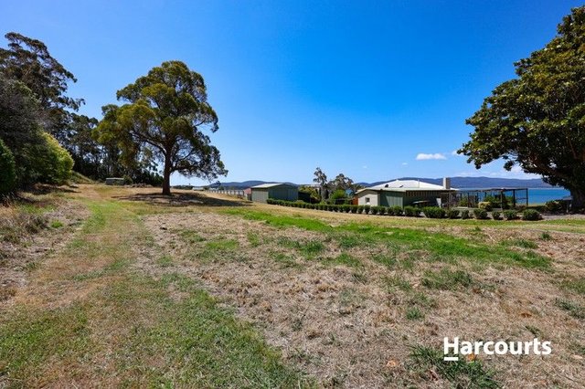 6 Crozier Street, TAS 7270
