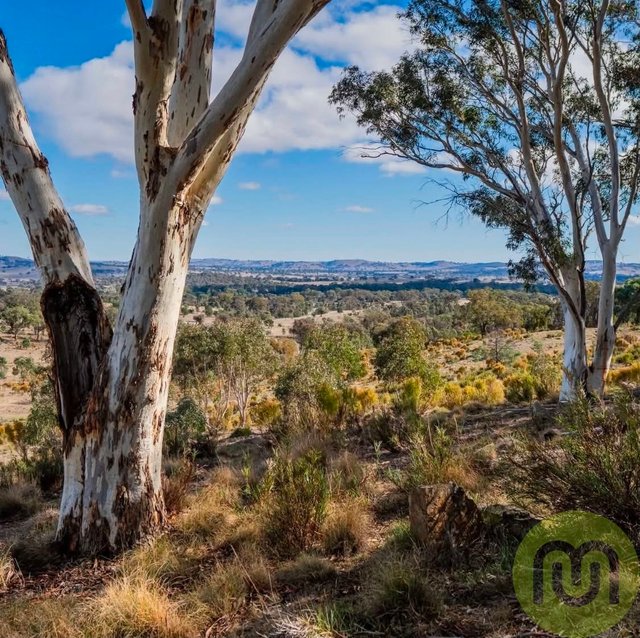 678 Sheldricks Lane, NSW 2582