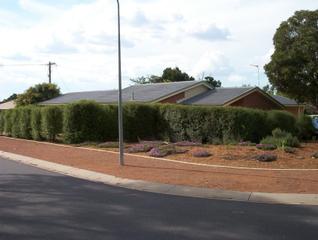 Front View (2010-02-12)