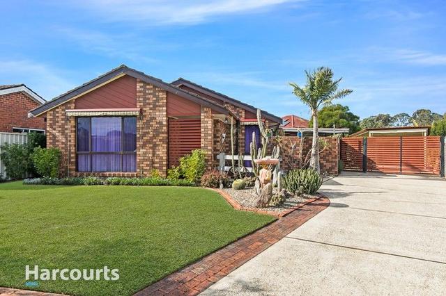 3 Raleigh Close, NSW 2759