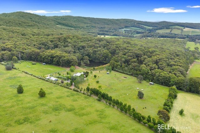 740 Little Yarra Road, VIC 3797
