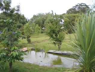 Pond (2008-03-27)