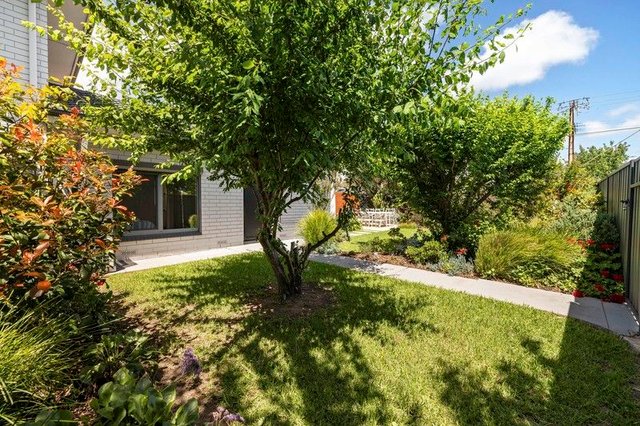 1/833 Marion  Road, SA 5043