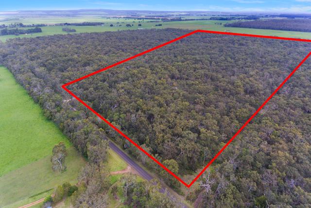 1800 Condah-Ettrick Road, VIC 3304