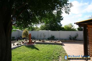 Backyard (2006-03-23)