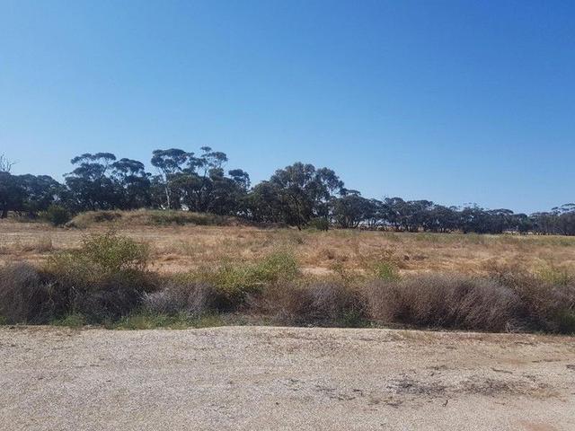 166 (L) Woolawa Street, WA 6510