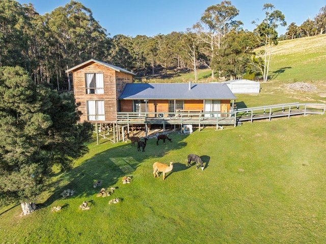 49 Packers Road, TAS 7109