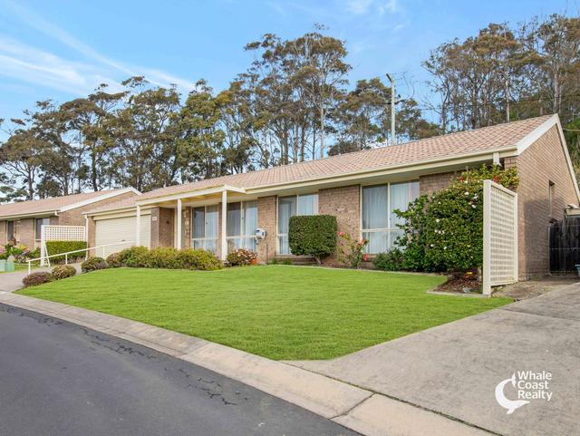 67/11 Payne Street, NSW 2546