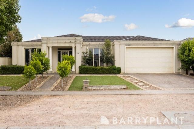 16 San Domino Avenue, VIC 3030