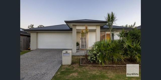 36 Walker Circuit, QLD 4280